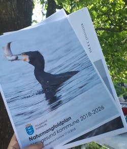 Omslag: "Naturmangfoldplan : Haugesund kommune 2018-2026" av Ingrid Ebne
