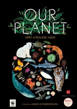 Omslag: "Our planet : vårt utrolige hjem" av Matt Whyman