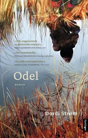 Omslag: "Odel : roman" av Dordi Strøm