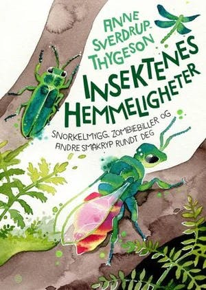 Omslag: "Insektenes hemmeligheter : snorkelmygg, zombiebiller og andre småkryp rundt deg" av Anne Sverdrup-Thygeson